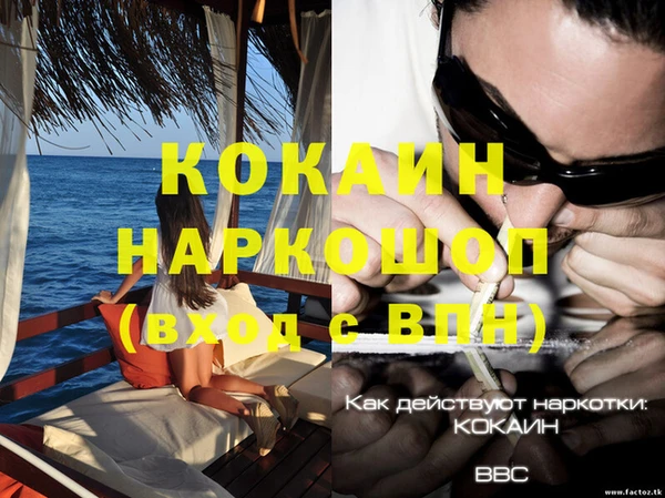 дживик Навашино