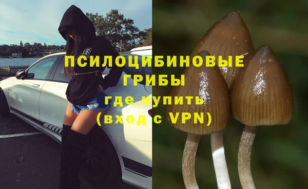 первитин Надым