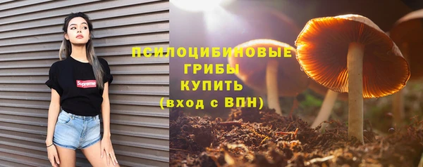 ешки Великий Новгород
