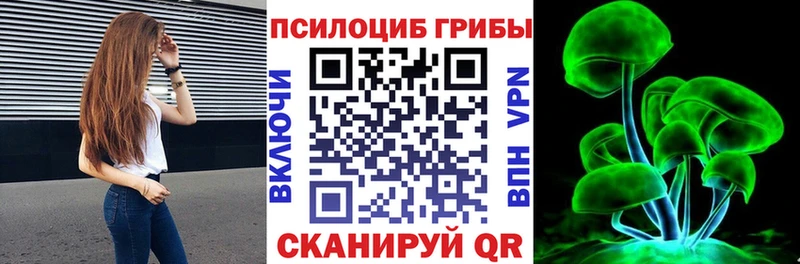наркота  Назрань  Галлюциногенные грибы Cubensis 