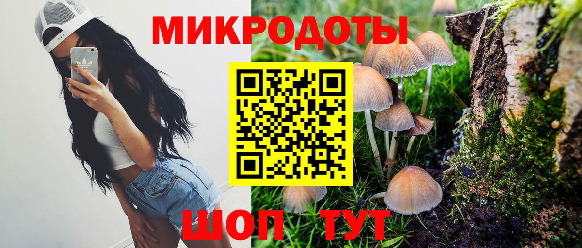 Назрань  что такое   Вход с VPN  Галлюциногенные грибы Psilocybe 
