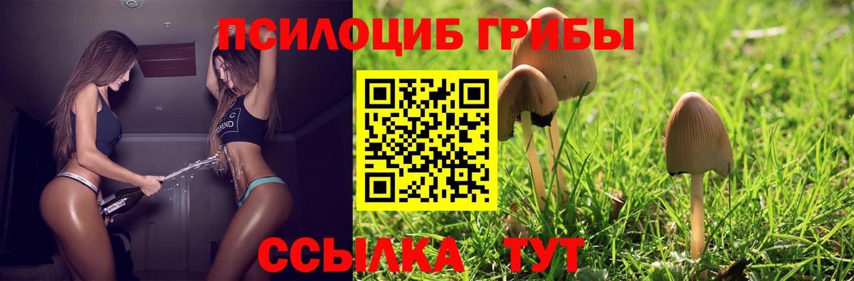 Галлюциногенные грибы MAGIC MUSHROOMS Назрань